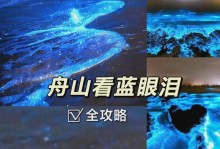 BoseC2耳机的音质评测（揭秘BoseC2耳机的卓越音质表现及用户体验）