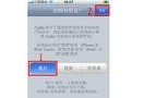 电脑版pp助手连接网络错误解决方法（解决电脑版pp助手连接网络错误的有效措施）