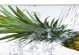 探索TCL3D电视的视觉盛宴（TCL3D电视）