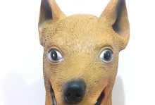 宾得狗头镜头的特点和使用技巧（探索宾得狗头镜头的高画质与多功能性）