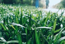 探索MIUI8.12的全新主题设计（打造个性化手机界面，尽在MIUI8.12）
