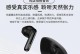 JBL耳机的音质和性能究竟如何？（揭秘JBL耳机的音质表现和功能特点）
