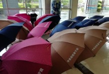 共享雨伞的前经（共享经济时代下，共享雨伞的发展与前景展望）
