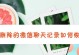 如何恢复删除了的转账记录？（从备份到数据恢复，教你找回丢失的交易信息）