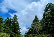 松果生活（探索松果生活的奇妙魅力，打造舒适高效的居住环境）