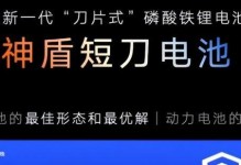 强能电池（为未来能源需求提供持久、高效和可靠的能源供应）