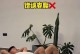 揭秘正确锻炼腹肌的常见误区（避免这些错误，打造完美腹肌）