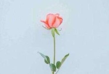 奇酷逗逗裤（穿上逗逗裤，让你笑逐颜开）