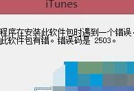 电脑显示错误2503的解决方法（解决电脑显示错误2503的实用指南）