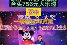 以176号码为主题，探讨号码对个人和社会的影响力（176号码的魅力与背后的故事）